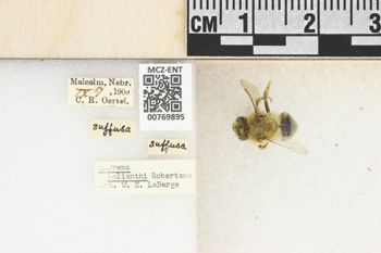 Media type: image;   Entomology 769895 Aspect: Labels